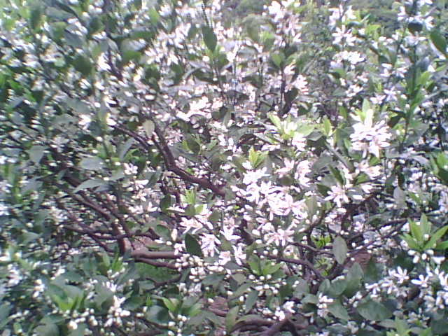 PIC_2626.jpg