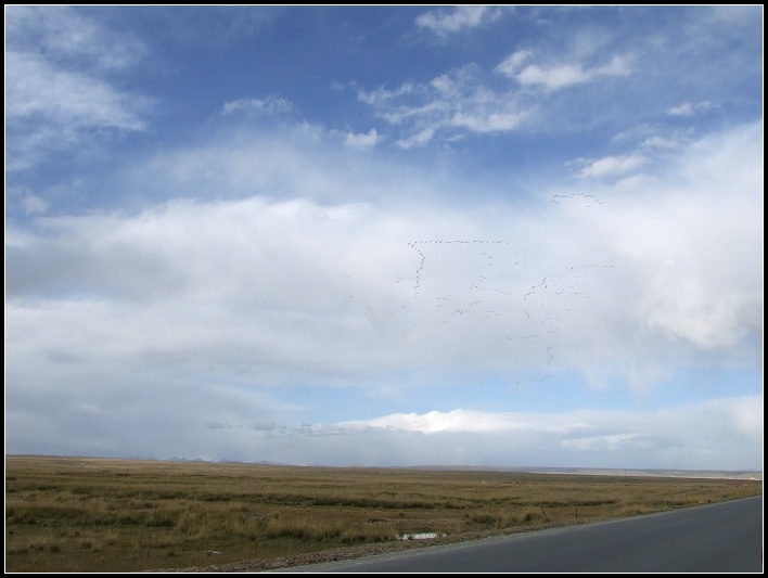 DSCF0208.jpg