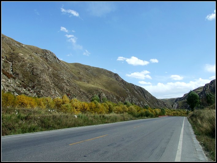 DSCF0369.jpg