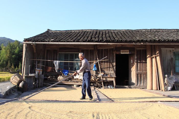 农家小院.jpg