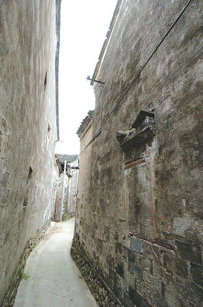 00408823儒雅样5.jpg