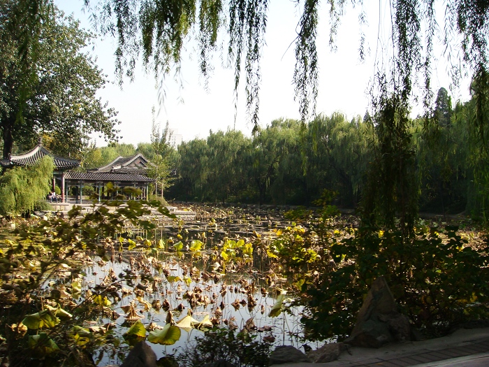 DSC03021.JPG