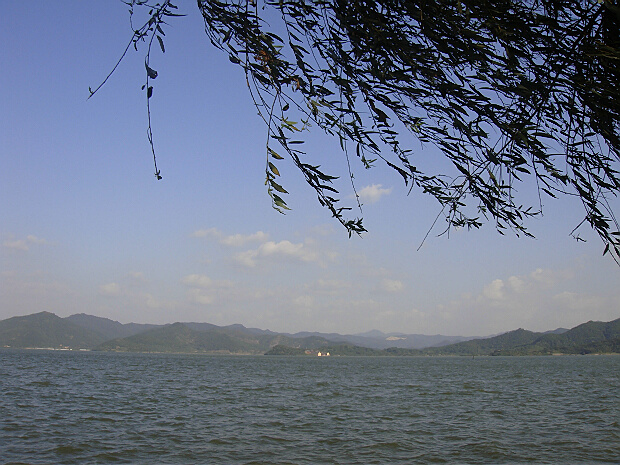 DSC00314.jpg