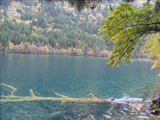 S73F0011.jpg