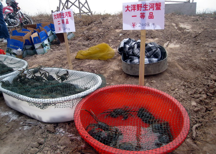 零售