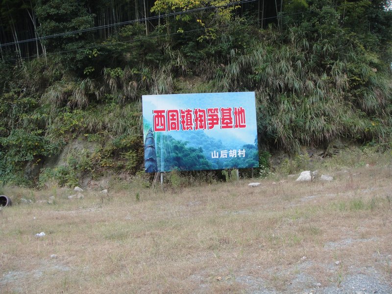 蒙顶山脚