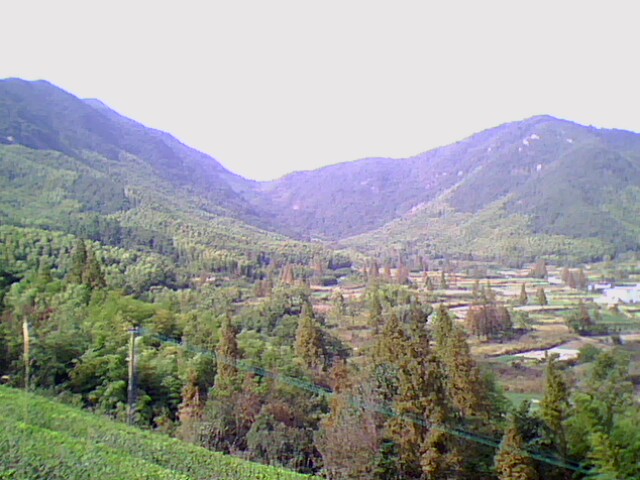 IMG0074A.jpg