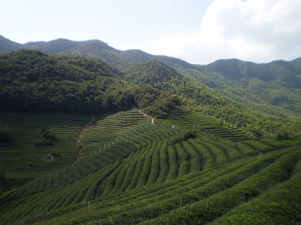 PA011635.JPG