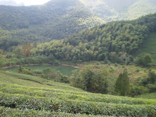 PA011634.JPG