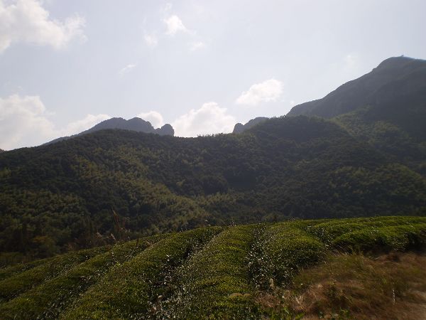 PA011630.JPG