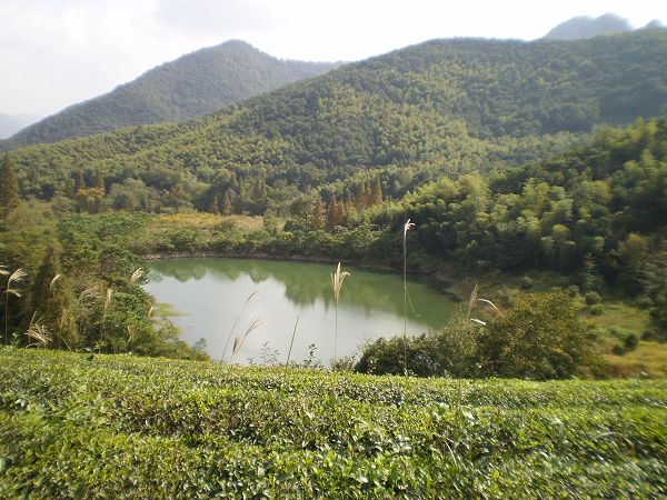 PA011641.JPG