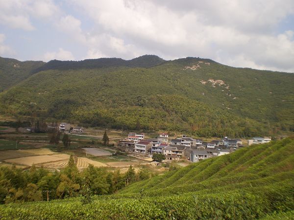 PA011640.JPG