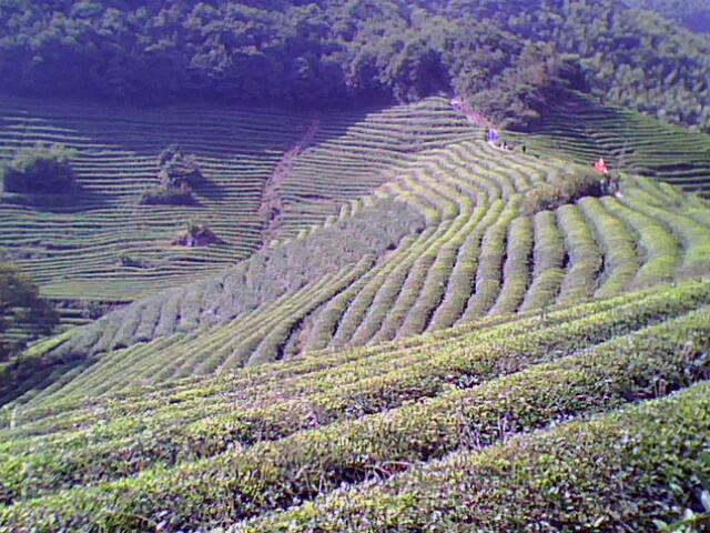 IMG0072A.jpg