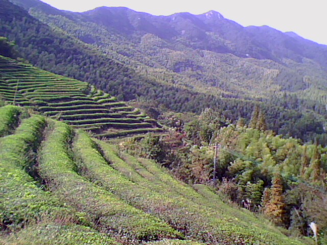 IMG0073A.jpg