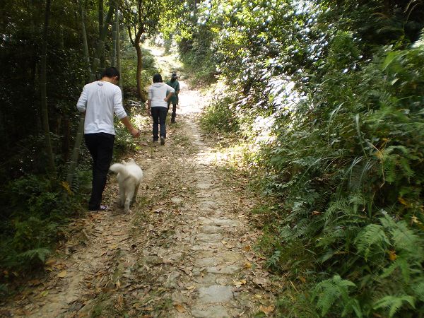 PA011654.JPG
