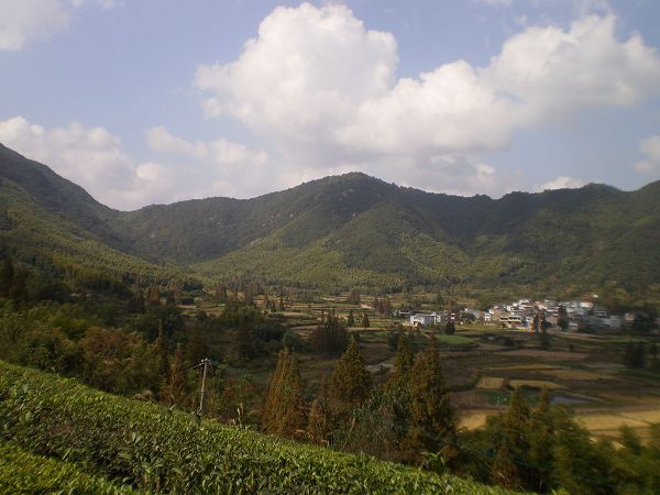 PA011639.JPG
