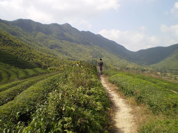 PA011636.JPG