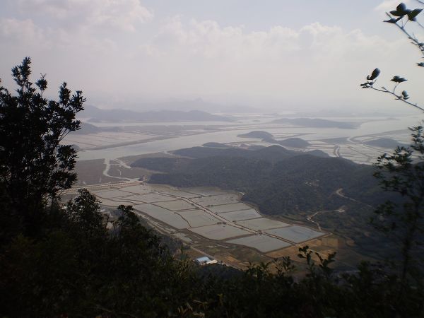 PA011684.JPG