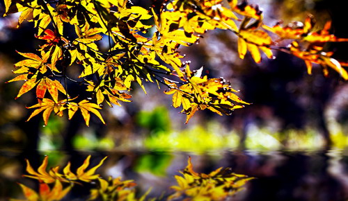 20091027_b5c48e730a79ec306ff6e1G0hDVnVhe8.jpg