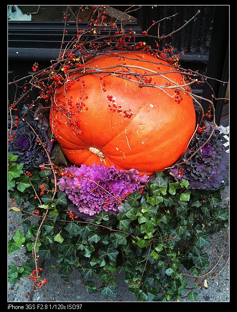 nEO_IMG_26-10-09 013.jpg