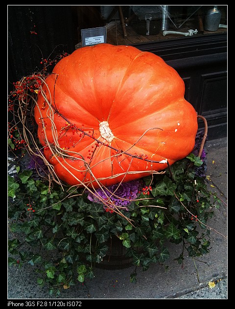 nEO_IMG_26-10-09 006.jpg