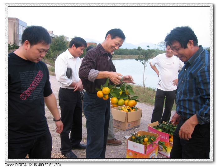 复件 IMG_0295.jpg