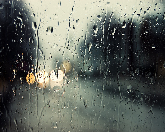 rain样图.jpg