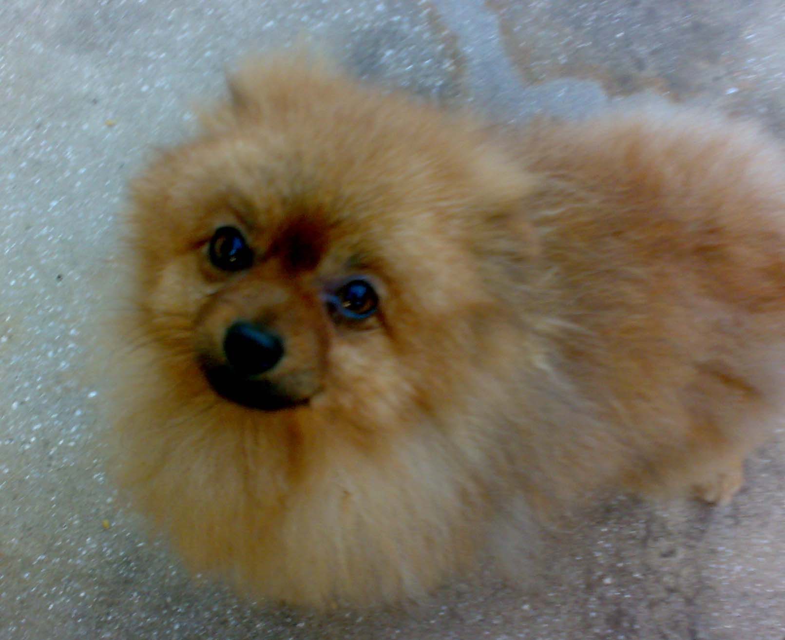 112420092140.jpg
