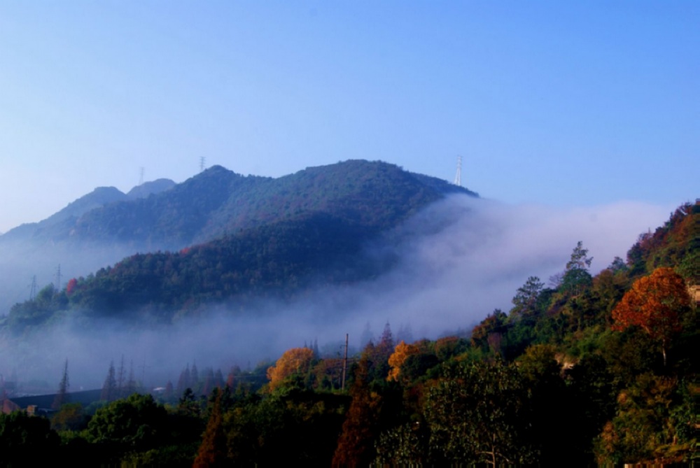DSC03516_光影_3.jpg