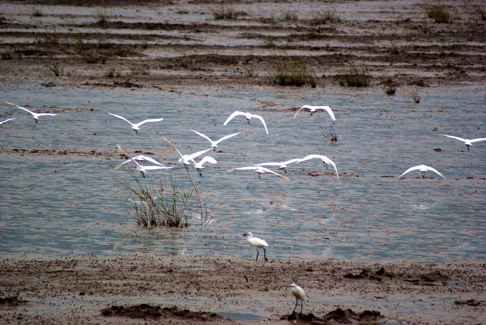 DSC03788_光影_2.jpg