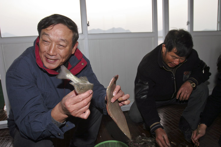 这就要成为今晚的盘中餐，但是大家要尊重象山当地渔区在渔船上吃鱼不能将鱼翻身的习俗哦。