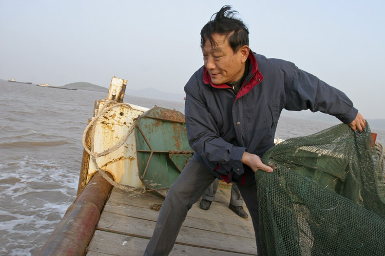 撒网