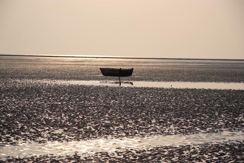 _2455.jpg