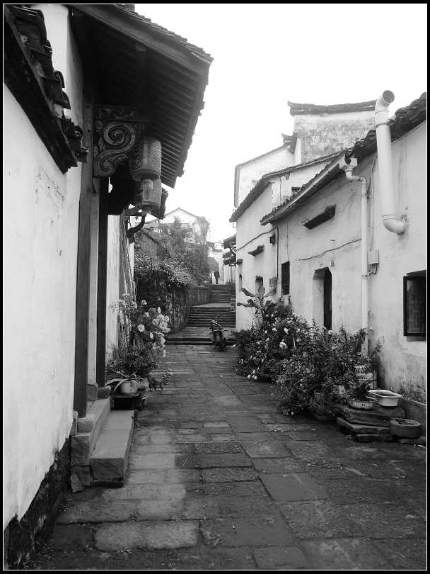 照片 120.jpg