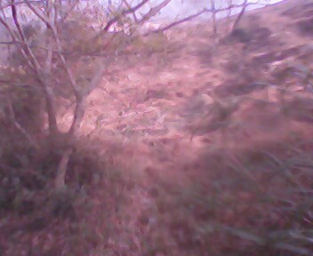 IMG0033A.jpg