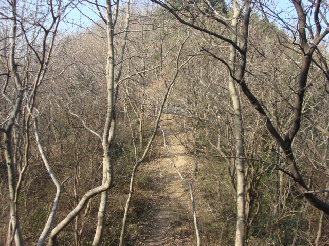 DSC02861.JPG