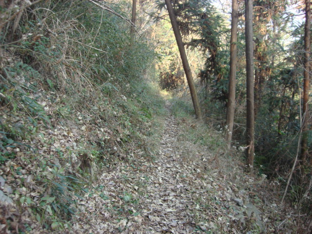 DSC02870.JPG