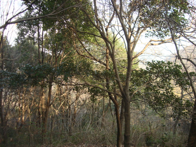 DSC02873.JPG