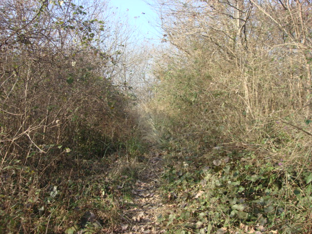 DSC02866.JPG