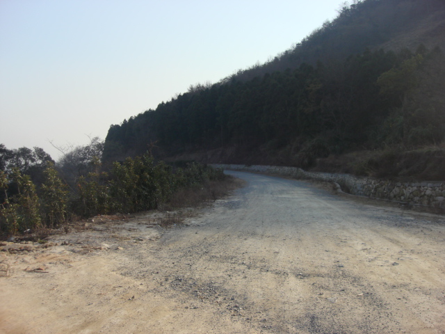 DSC02892.JPG