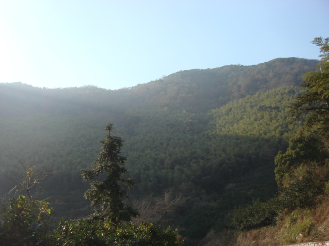 DSC02903.JPG