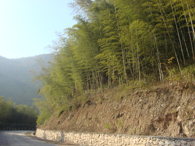 DSC02900.JPG