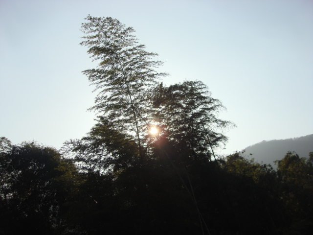 DSC02901.JPG