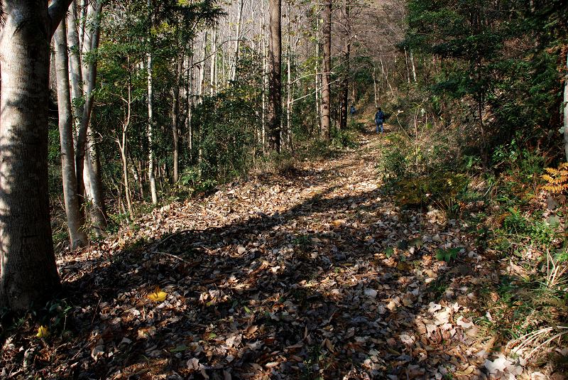 DSC_0055.jpg