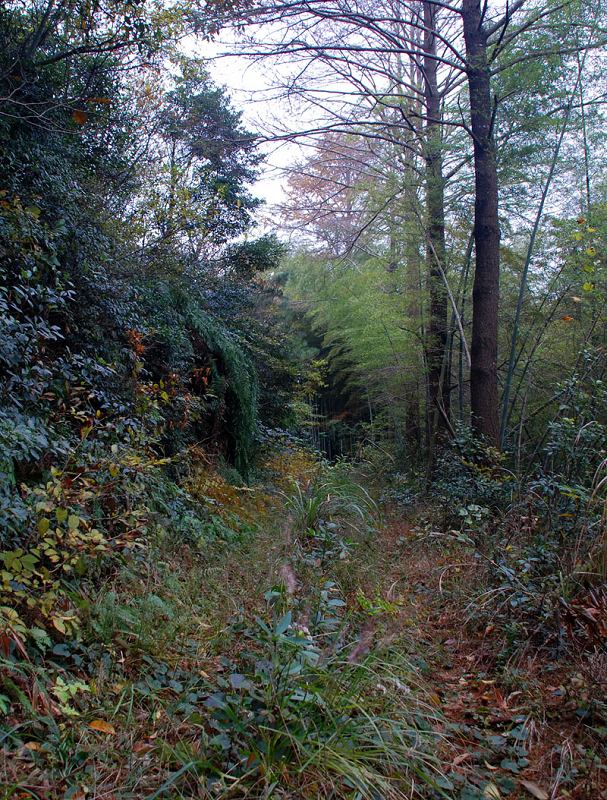 DSC_0109.jpg