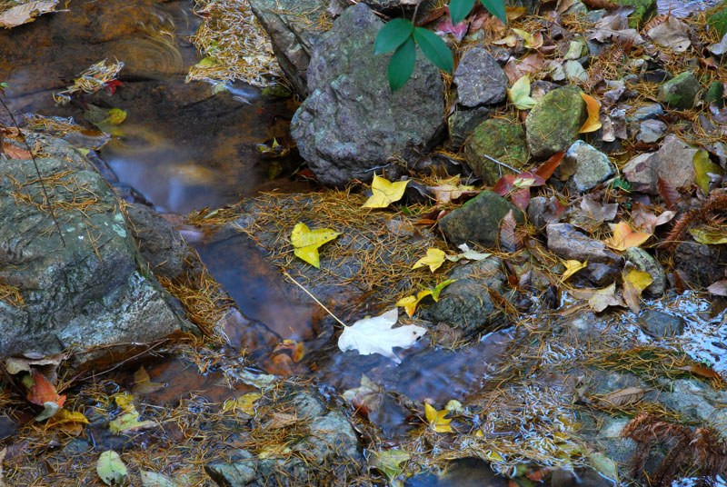 DSC_0117.jpg