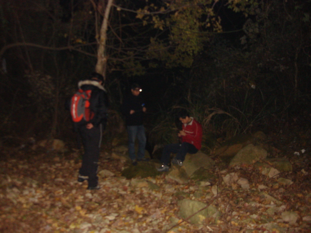 DSC02330.JPG