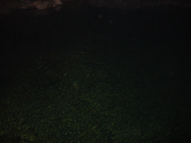DSC02344.JPG