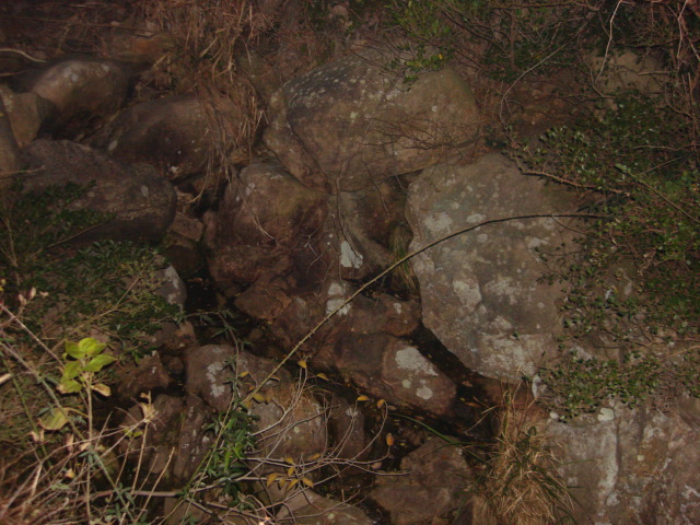 DSC02360.JPG