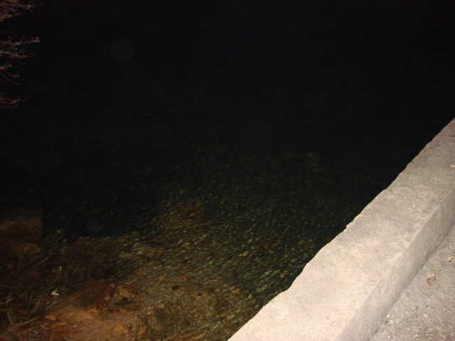 DSC02346.JPG